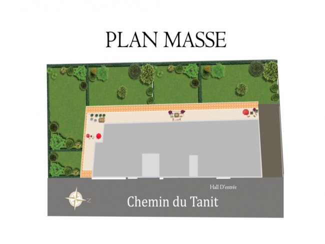 Plan Masse 